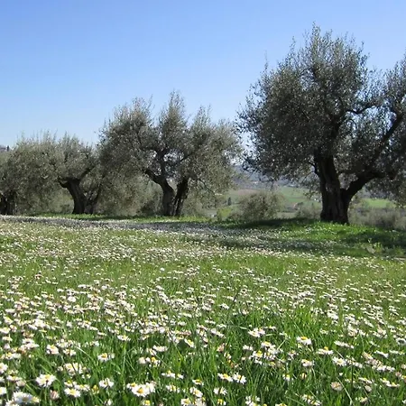 Casale Dei Dotti * Colle Umberto (Umbria)