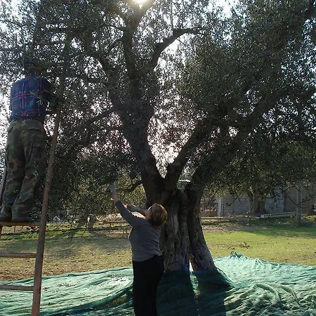 Kır Evi Casale Dei Dotti Colle Umberto (Umbria)