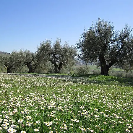 Landsted Casale Dei Dotti *